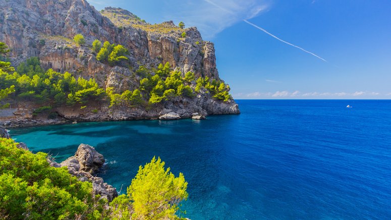 Excursió tren tranvía barco Soller