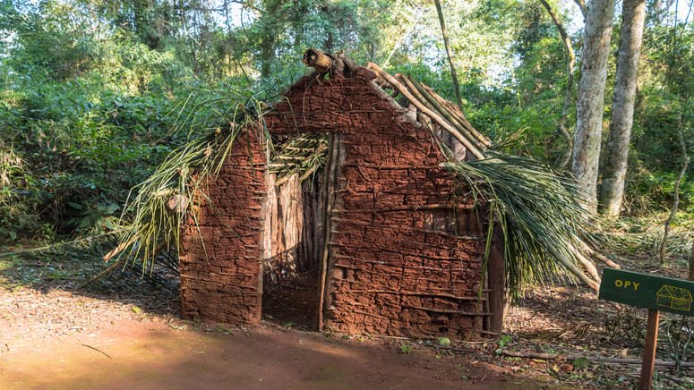 Cabalga por la selva del Iguazú