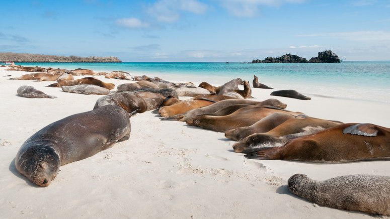 Excursión bahía golfo Santa Cruz