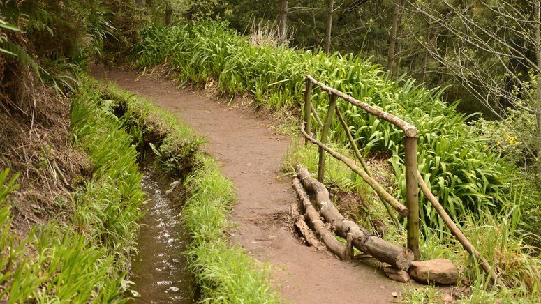 Trekking Valle Paraíso Rochão
