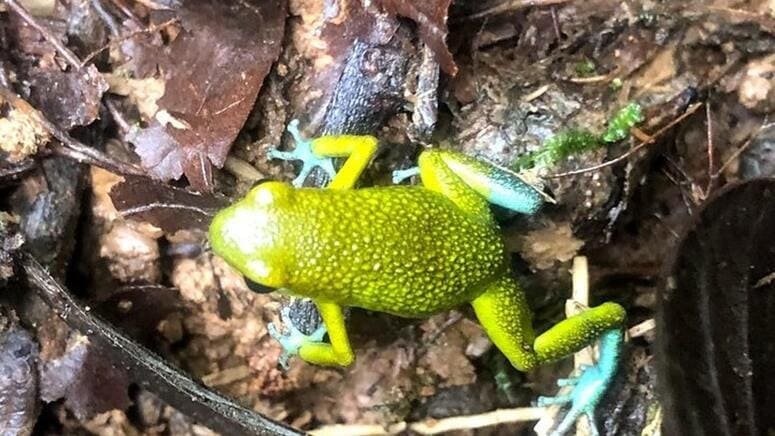 Visita Parque Nacional Manuel Antonio