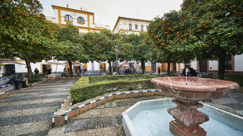 Free Tour Misterios y Leyendas Sevilla