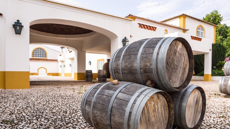 Tour privado de cata de vinos en Setúbal