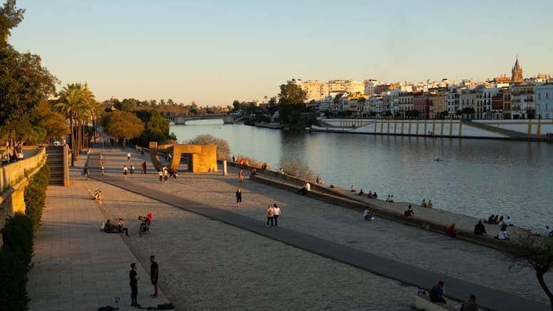 Paseo yate Guadalquivir cena