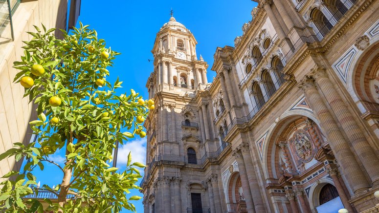 tour privado malaga