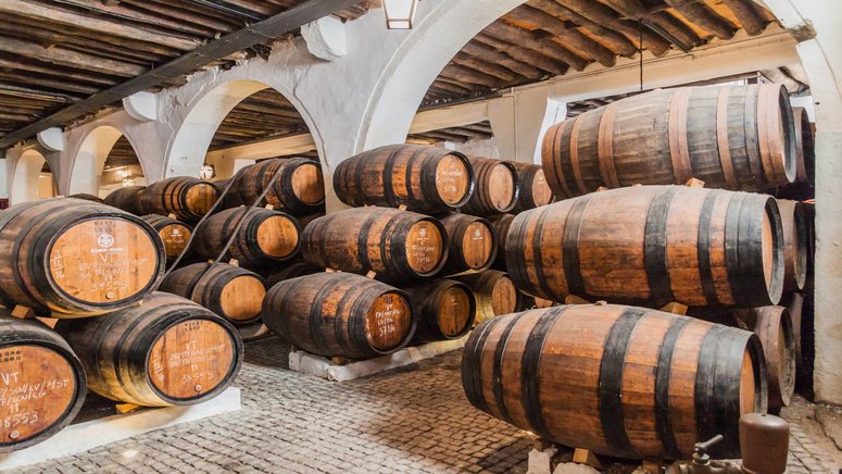 tour gaia bodegas oporto cata vino