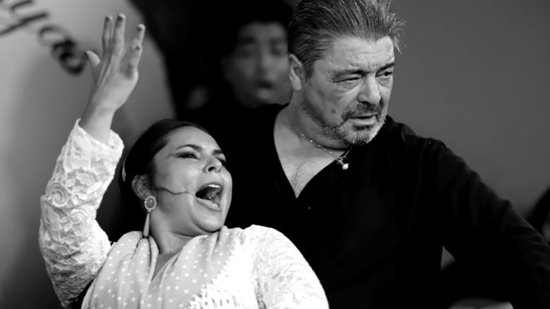 Auténtico espectáculo flamenco gitano