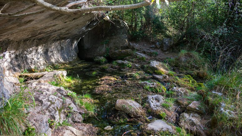 Tour Ciudad Encantada y río Cuervo