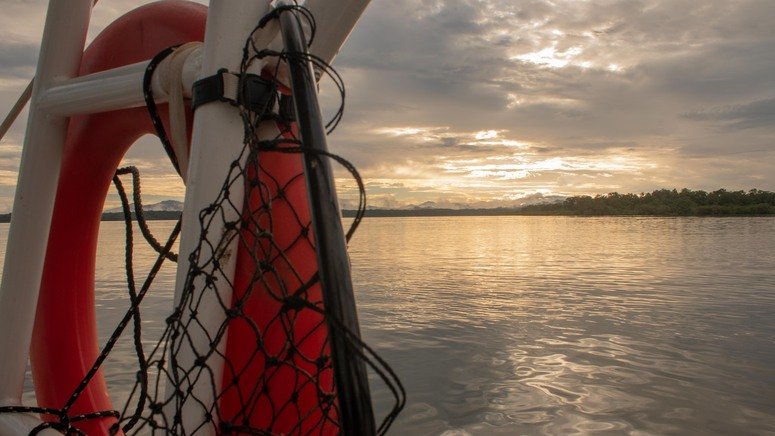 excursion pesca golfo montijo