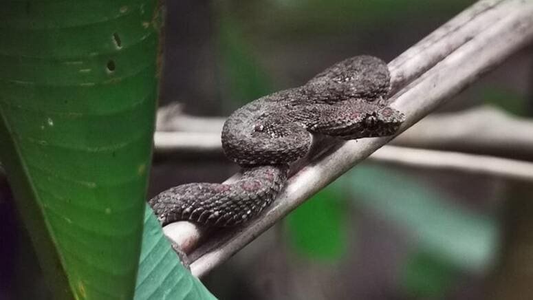 Visita Parque Nacional Manuel Antonio