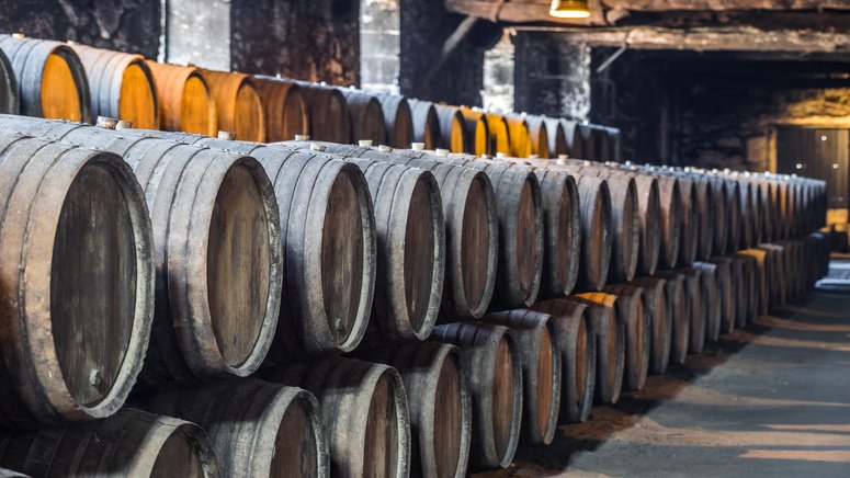 tour gaia bodegas oporto cata vino