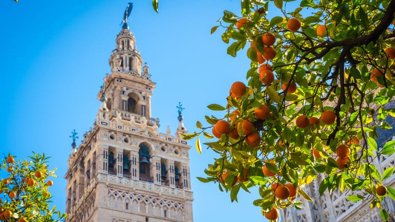 Visita la Catedral, la Giralda y los Reales Alcázares (En Inglés)