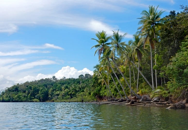 excursión kayak mangares costa rica