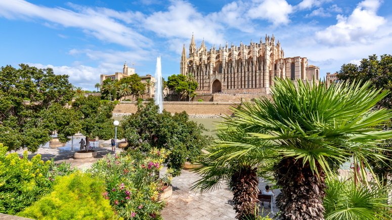 Visita guiada Catedral Palma