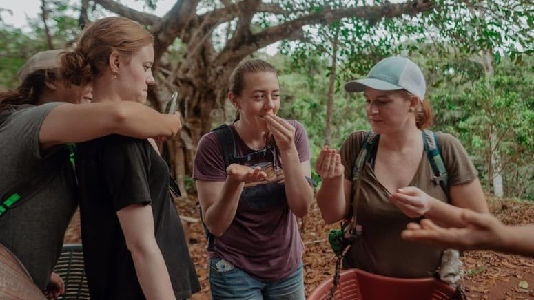 Tour Café Guanacaste Costa Rica