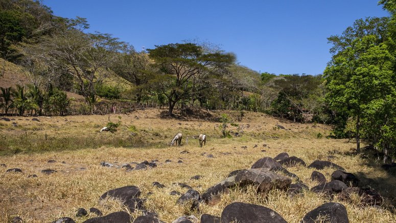 Tour privado caballo  Monteverde 