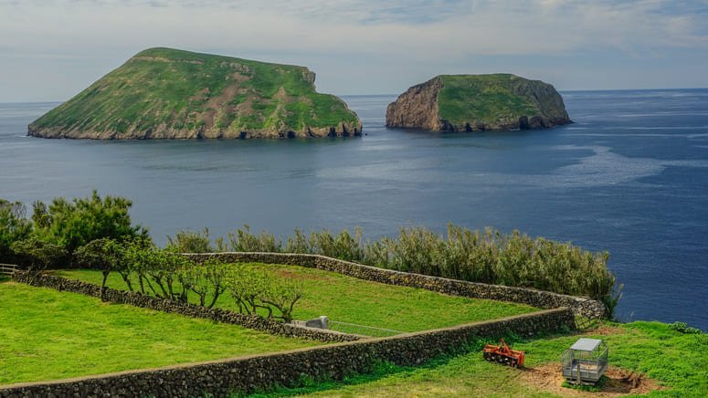Excursión panorámica miradores isla Terceira