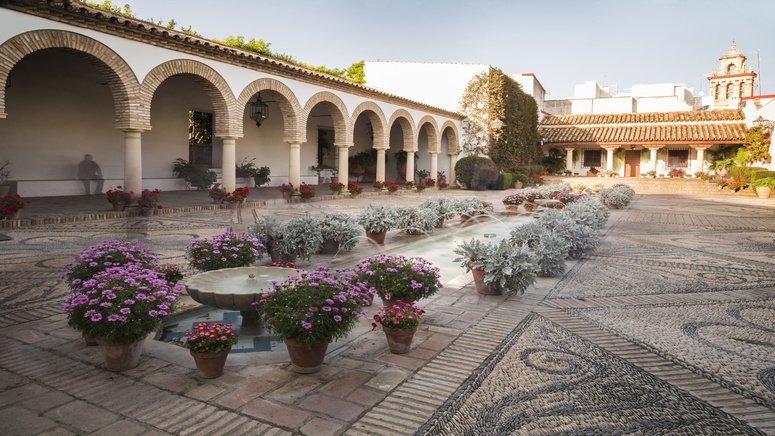 visita palacio viana