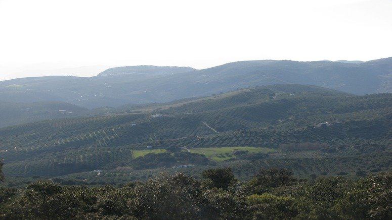 Excursión privada Algarinejo