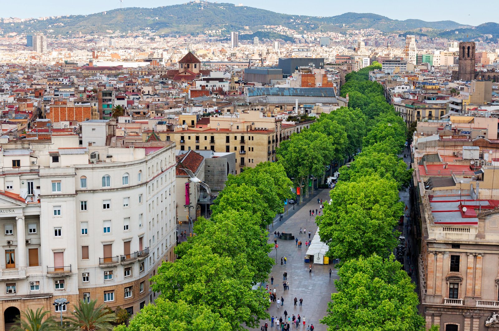 Tour privado a tu medida en Barcelona