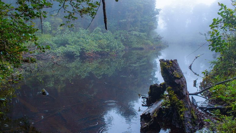 trekking cataratas el tigre