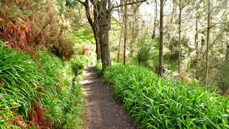Trekking Valle Paraíso Rochão