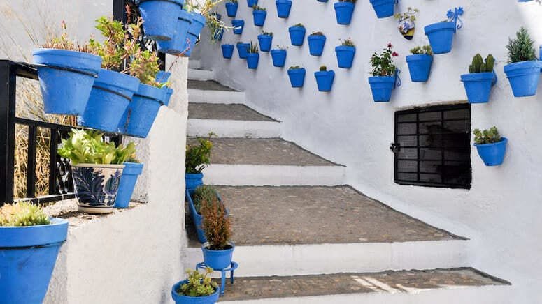 Excursión pueblos blancos y Ronda