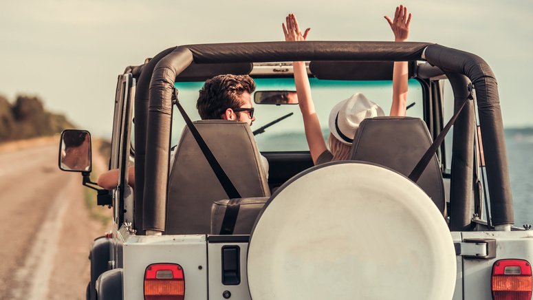 avistamiento delfines tour jeep setubal