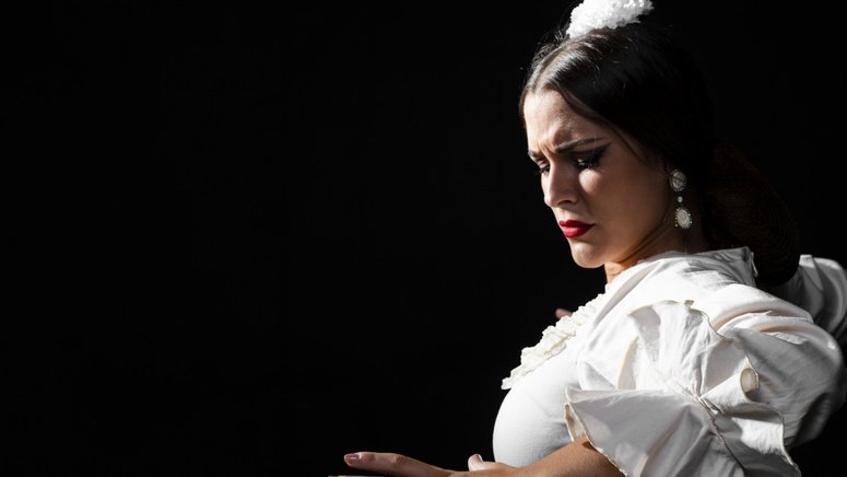 Espectaculo flamenco Granada