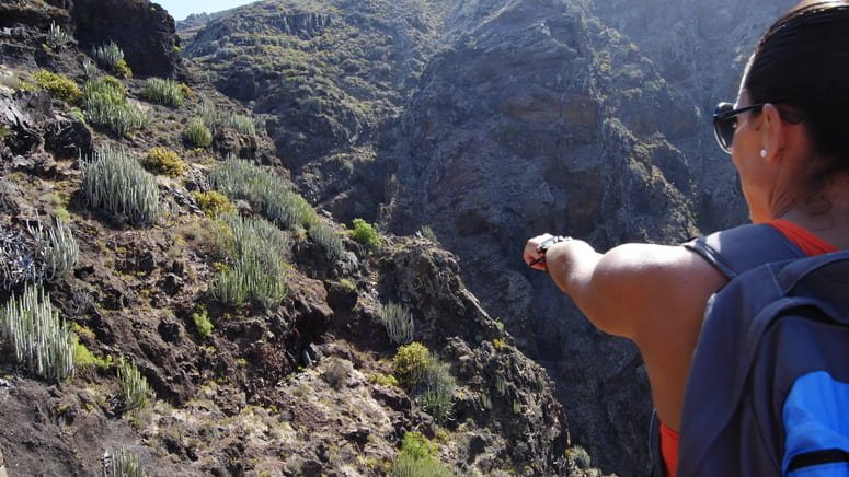 Excursión secreto isla: montañas de Teno