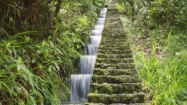 Trekking Ribeiro Frio Portela