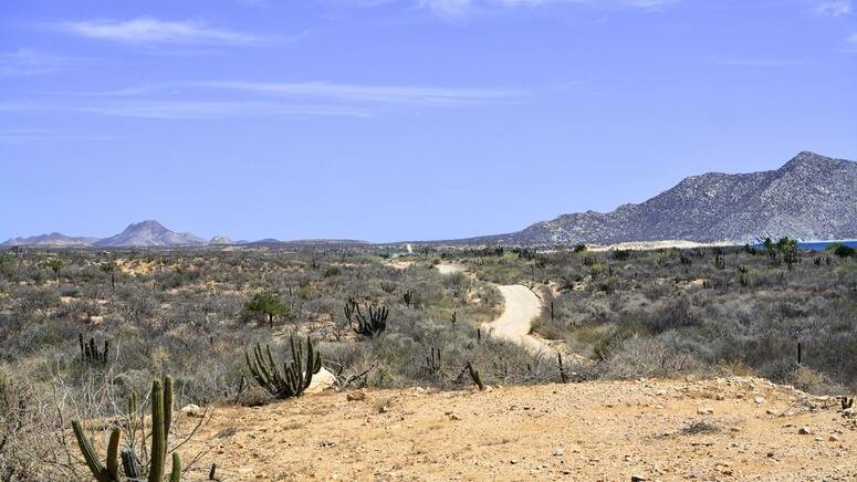 Ruta desierto Baja California