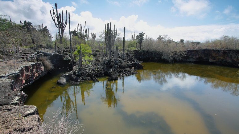 Excursión humedales Isla Isabela