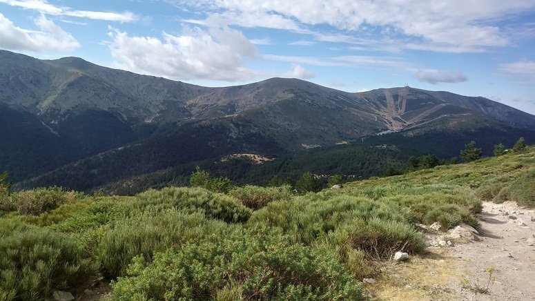 Excursión Parque Nacional Guadarrama