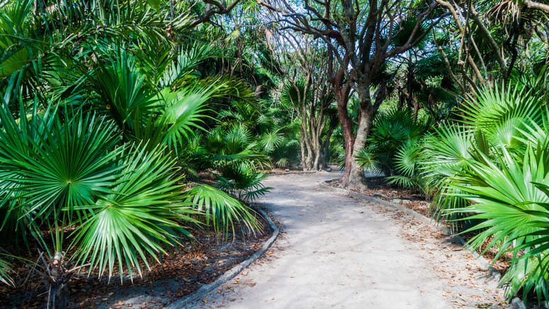 Excursión a Tulum 