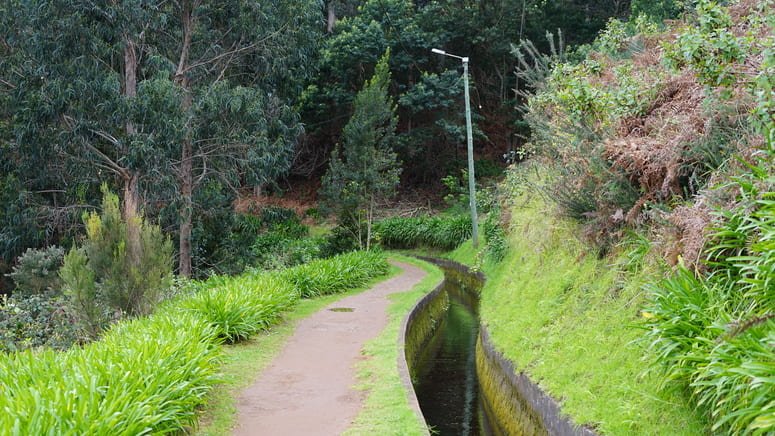 Excursión túneles cascadas Levada Ribeira Janela