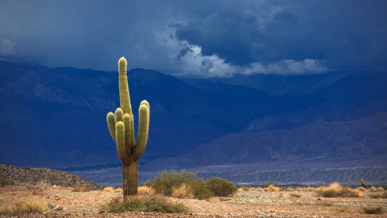 Tour por los valles de Cachi y Calchaquí