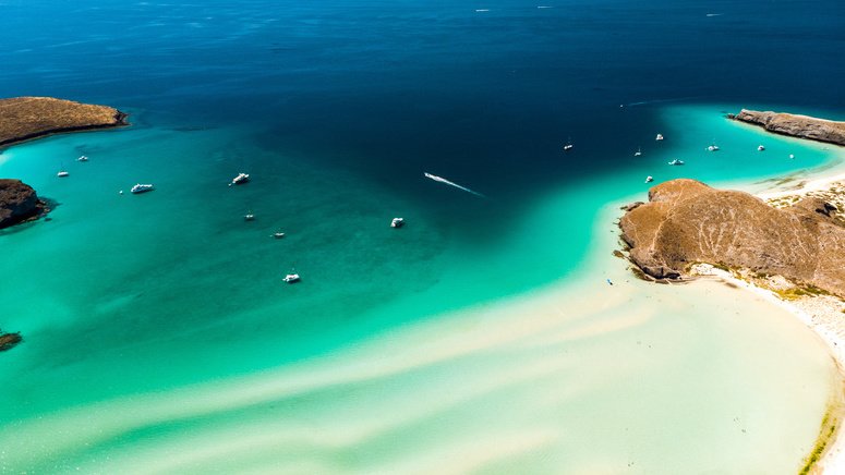 Snorkel lobos marinos La Paz
