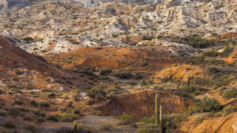 Tour por los valles de Cachi y Calchaquí