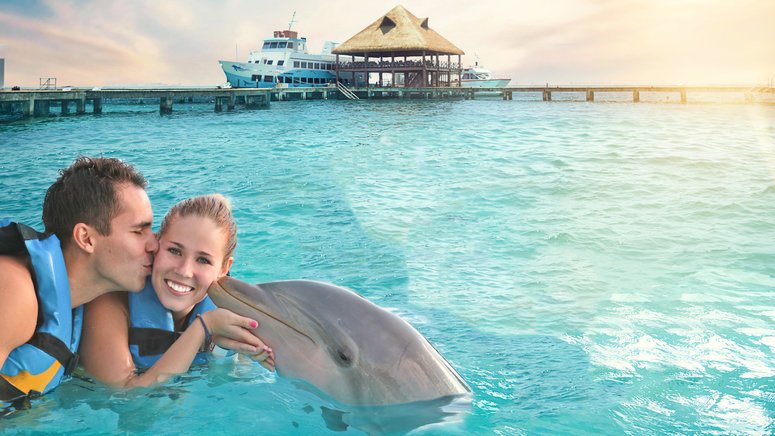 delfines buffet barra libre Isla Mujeres