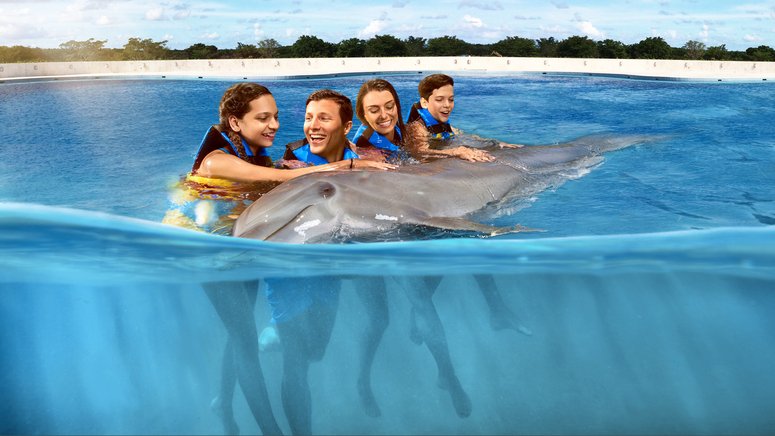 Nada delfines Punta Cana