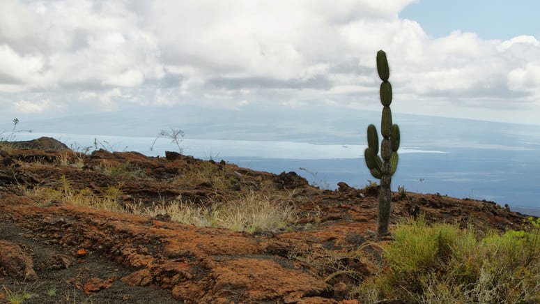 Tour volcanes Sierra Negra y Chico