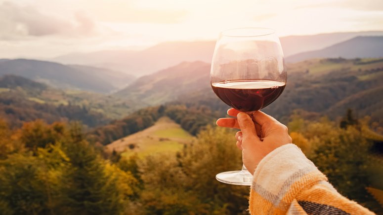 ruta privada gastronomica guachinche