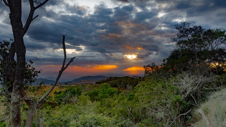 Tour nocturno selva tropical Monteverde