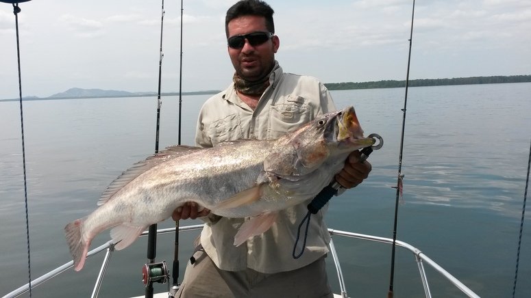 pesca altura golfo montijo