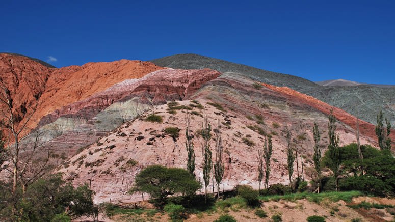 Tour por Salinas Grandes, Purmamarca y Salta 