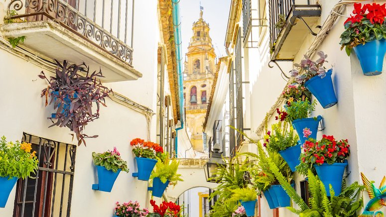 Fiesta Patios barrio Alcázar Viejo 