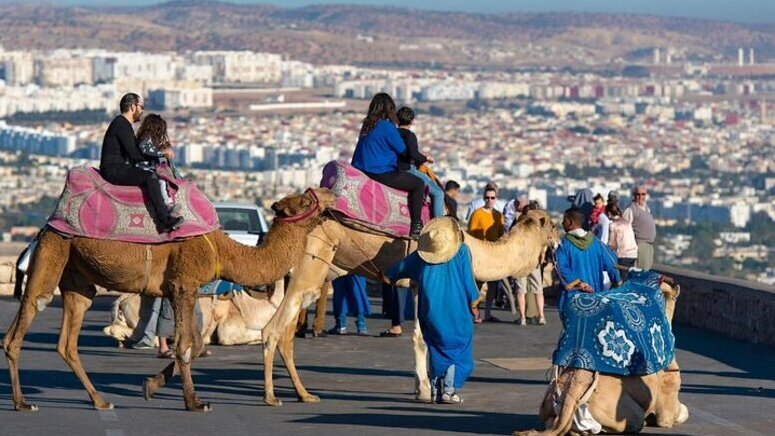 Paseo camello Agadir