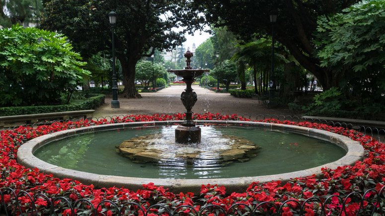 tour privado vigo