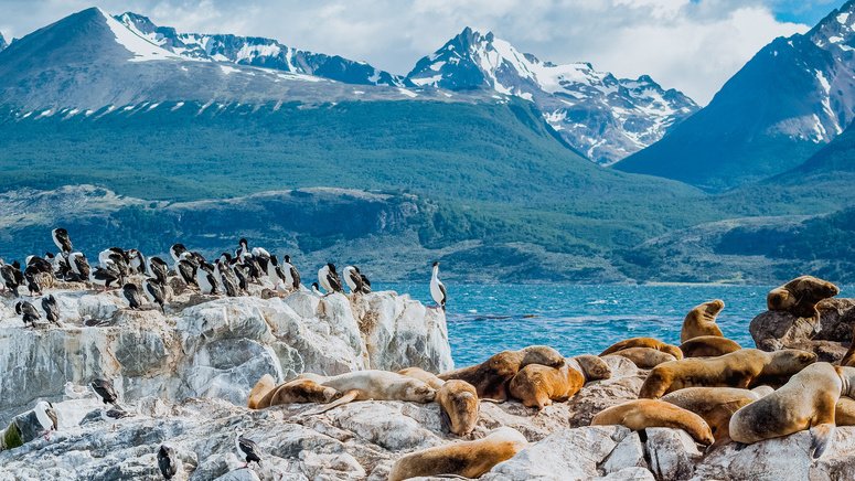 Catamarán por el canal Beagle y la isla de Lobos